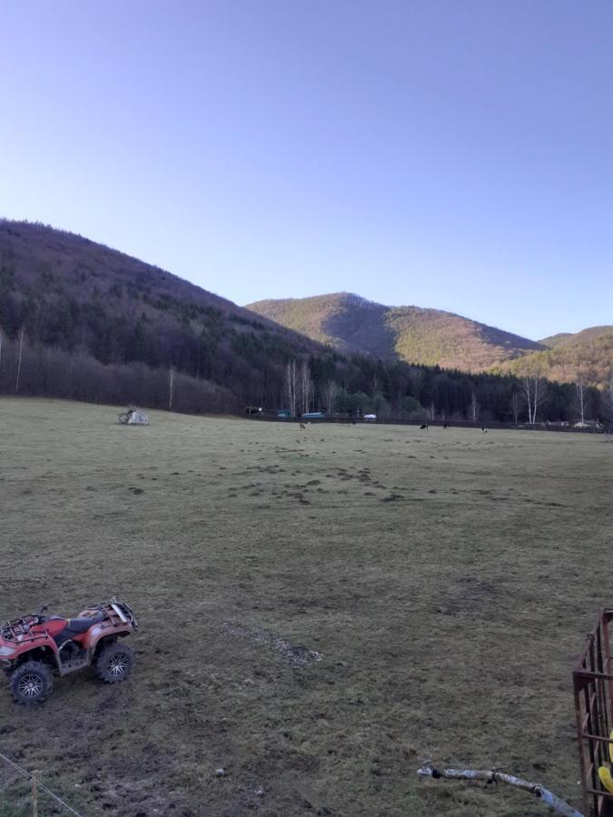 Pensiunea Natura Sadu Sibiu Exterior foto