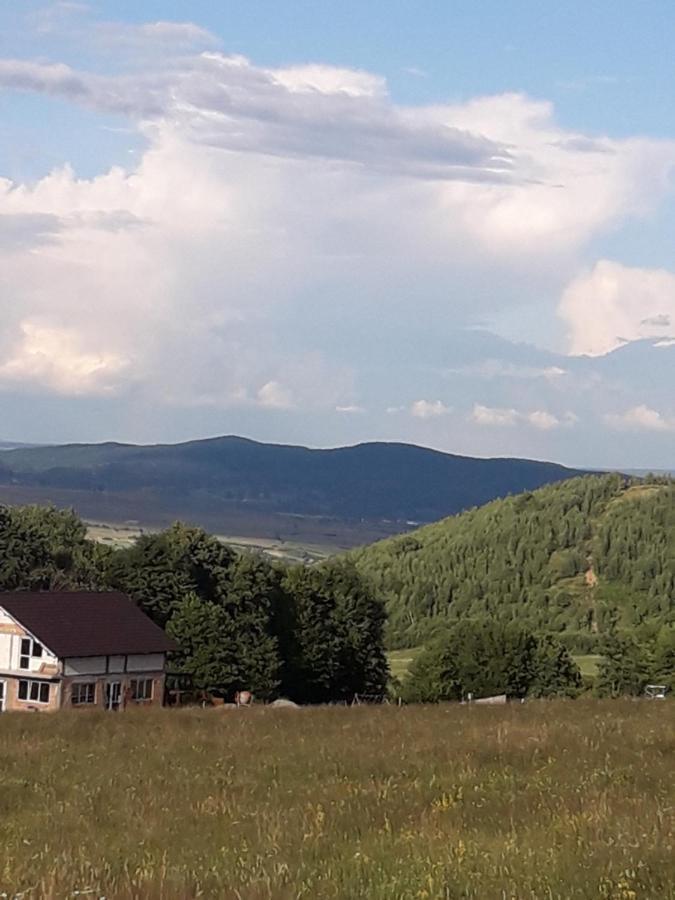 Pensiunea Natura Sadu Sibiu Exterior foto