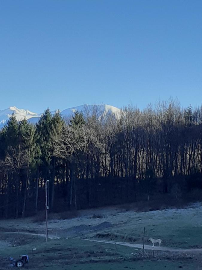 Pensiunea Natura Sadu Sibiu Exterior foto