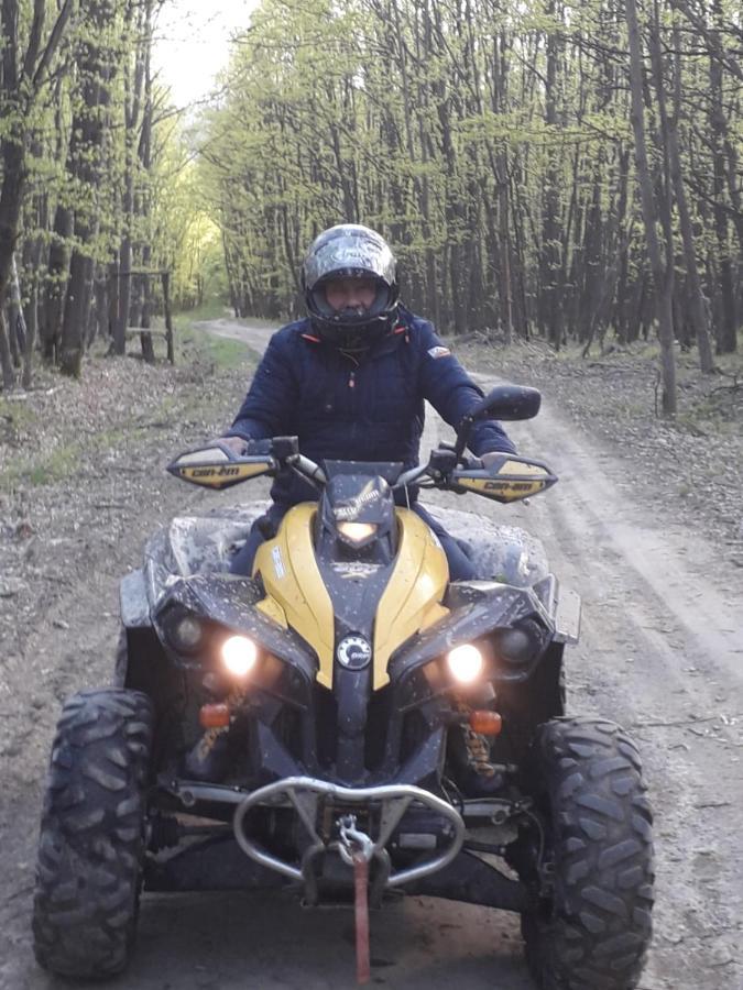 Pensiunea Natura Sadu Sibiu Exterior foto