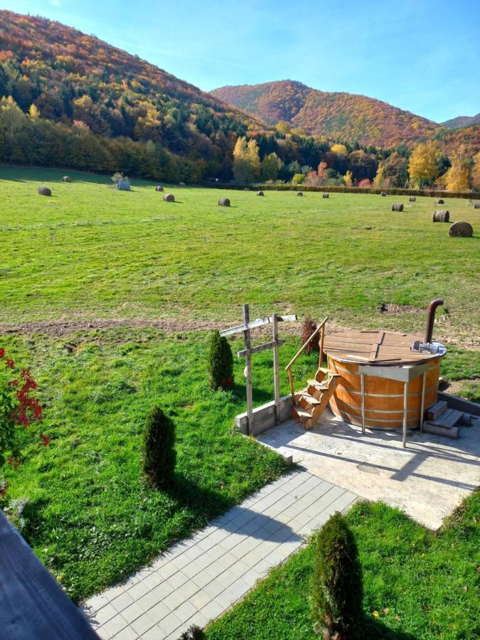 Pensiunea Natura Sadu Sibiu Exterior foto