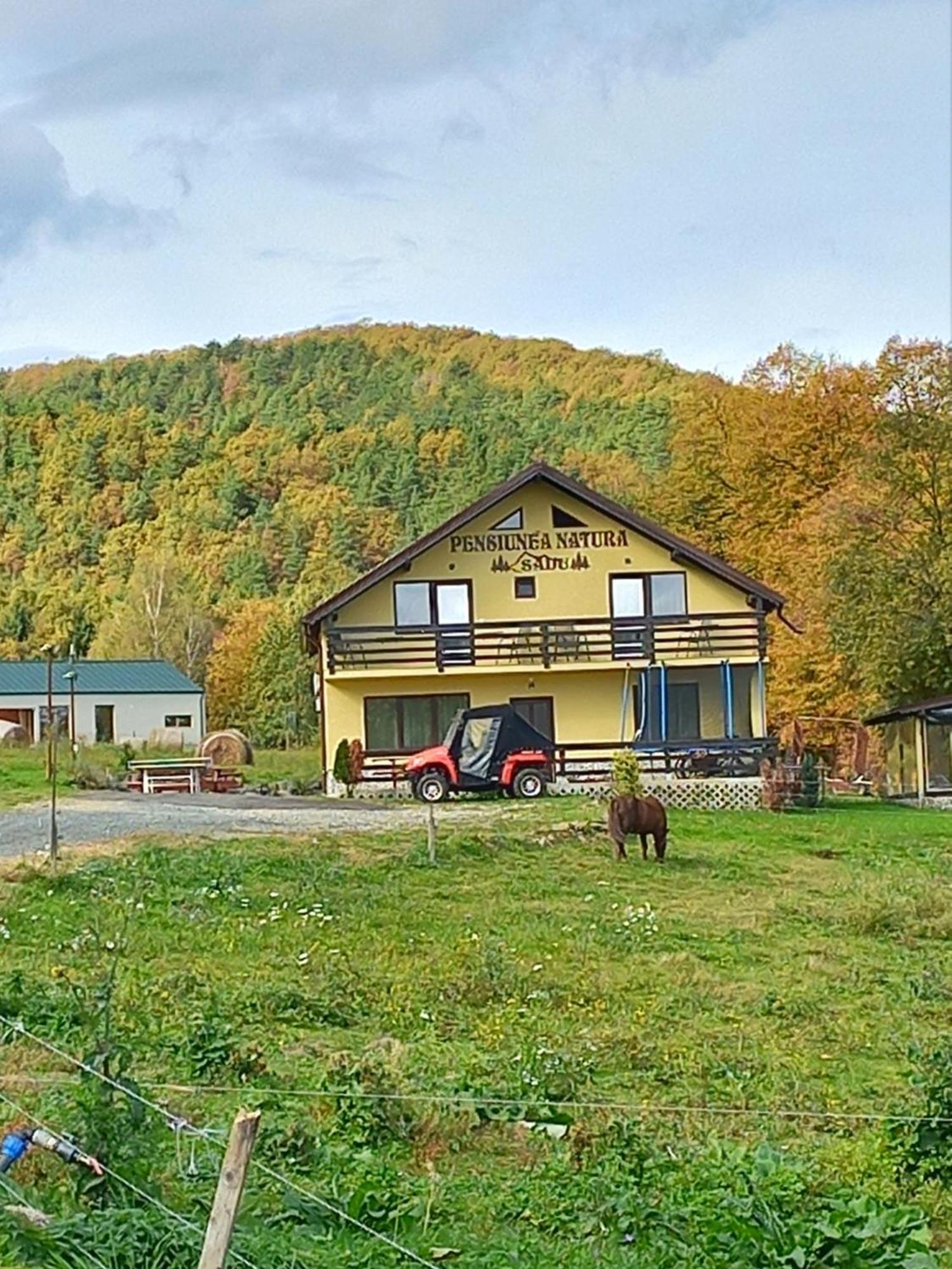 Pensiunea Natura Sadu Sibiu Exterior foto